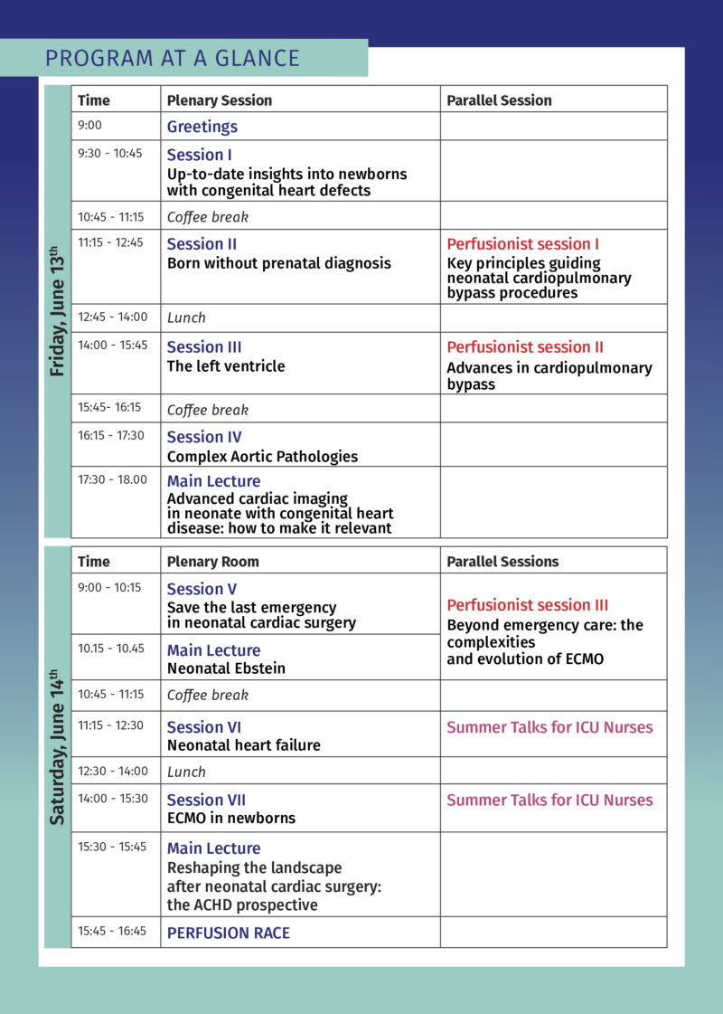 program-at-a-glance-02